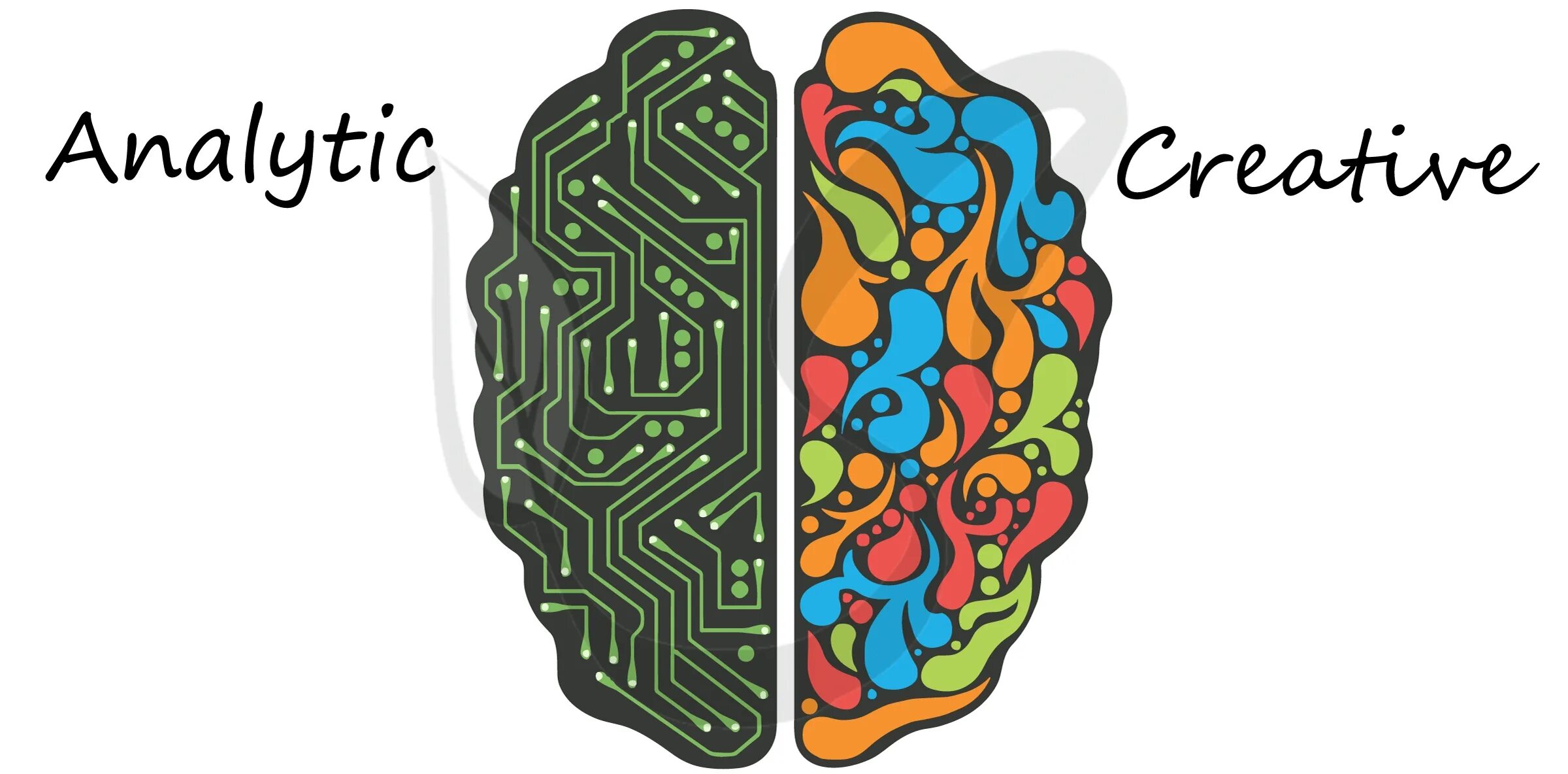 Разные полушария мозга. Функциональная асимметрия полушарий мозга. Левое и правое полушарие. Правое полушарие мозга.