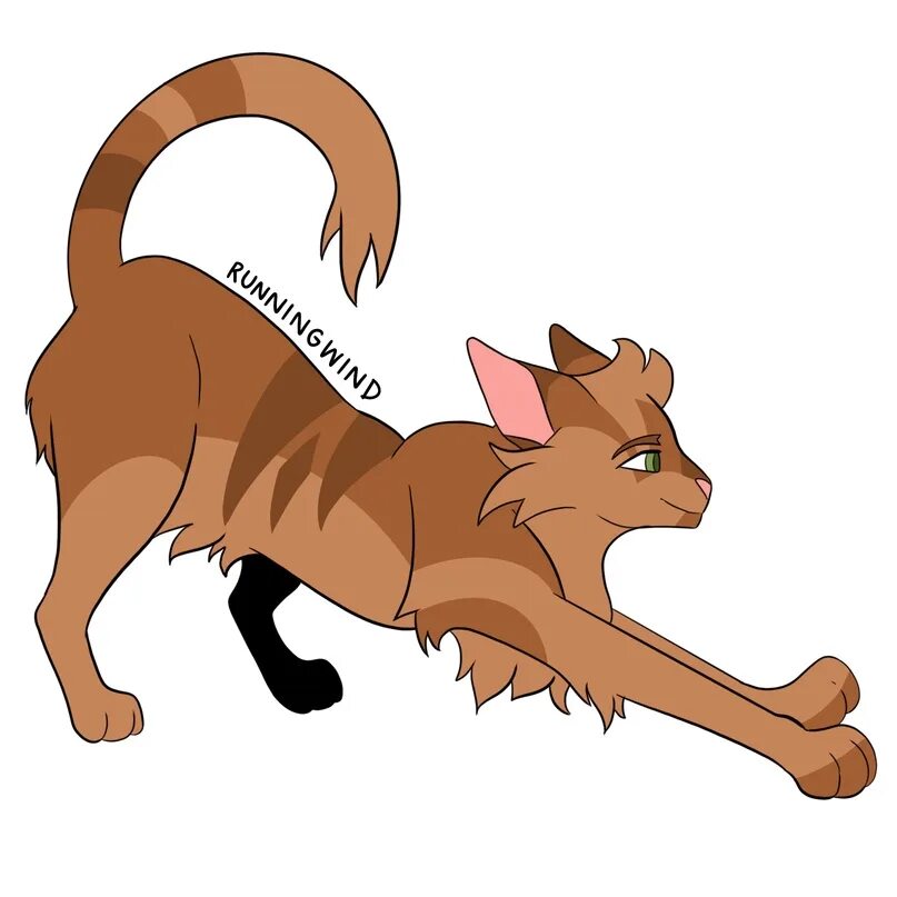 Коты воители листвичка и грачик. Коты воители 2 цикл 1 книга. Warrior cats hawkfrost. Коты воители ежевика и рыжинка. Коты воители книги 1 цикл.