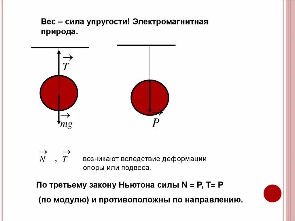 Природа сил масса. Сила упругости на подвесе. Силы упругости силы электромагнитной природы. Вследствие чего появляется сила упругости. Вес и сила упругости.