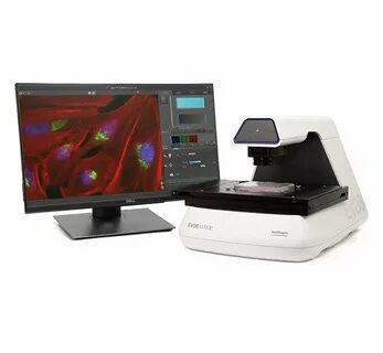 Auto imaging