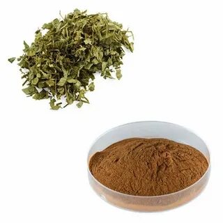 Plant extract