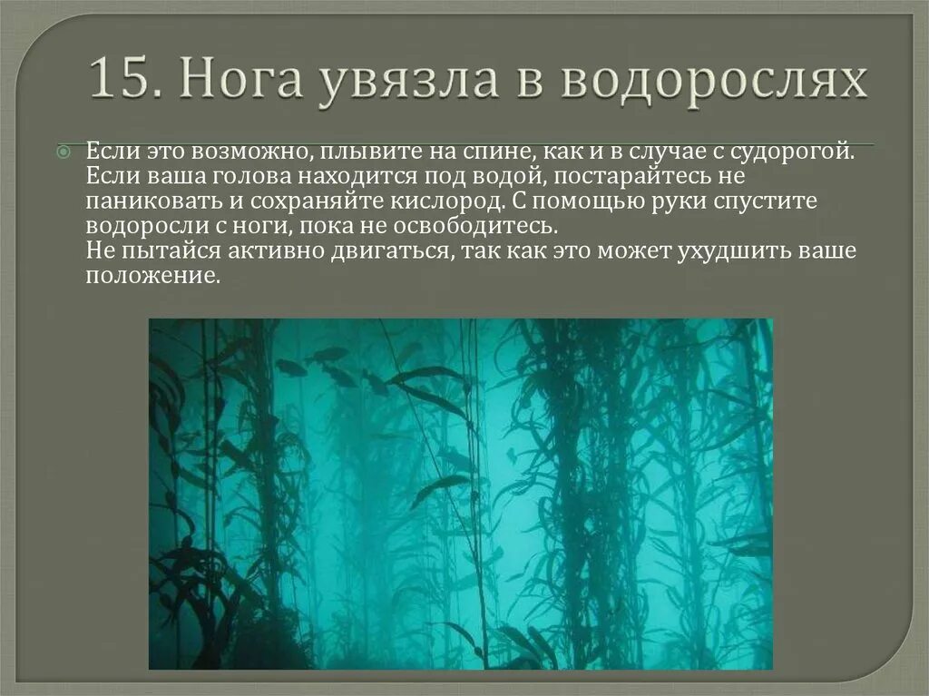 Водоросли запутались в. Запутался в водорослях. Если вы запутались в водорослях. Что делать если запутался в водорослях. Ноги запутались в водорослях.