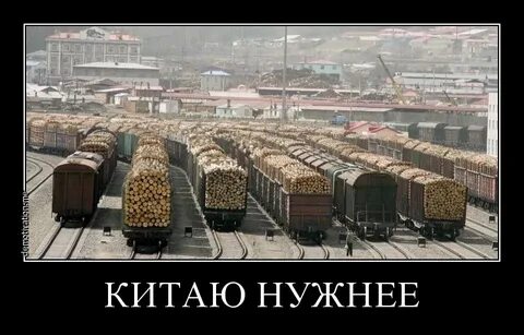 Прибыл он за тем чтобы продать леса