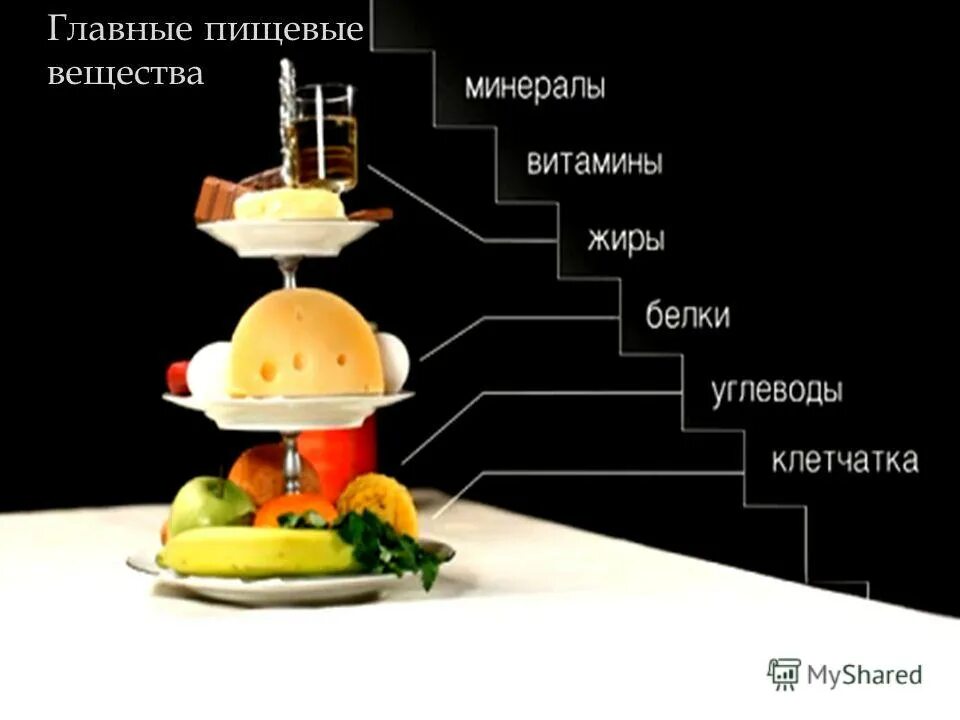 питательные вещества схема. превращение питательных веществ в пластическом обмене. белок питательное вещество. недостаток питательных веществ в организме. пища и питательные вещества.