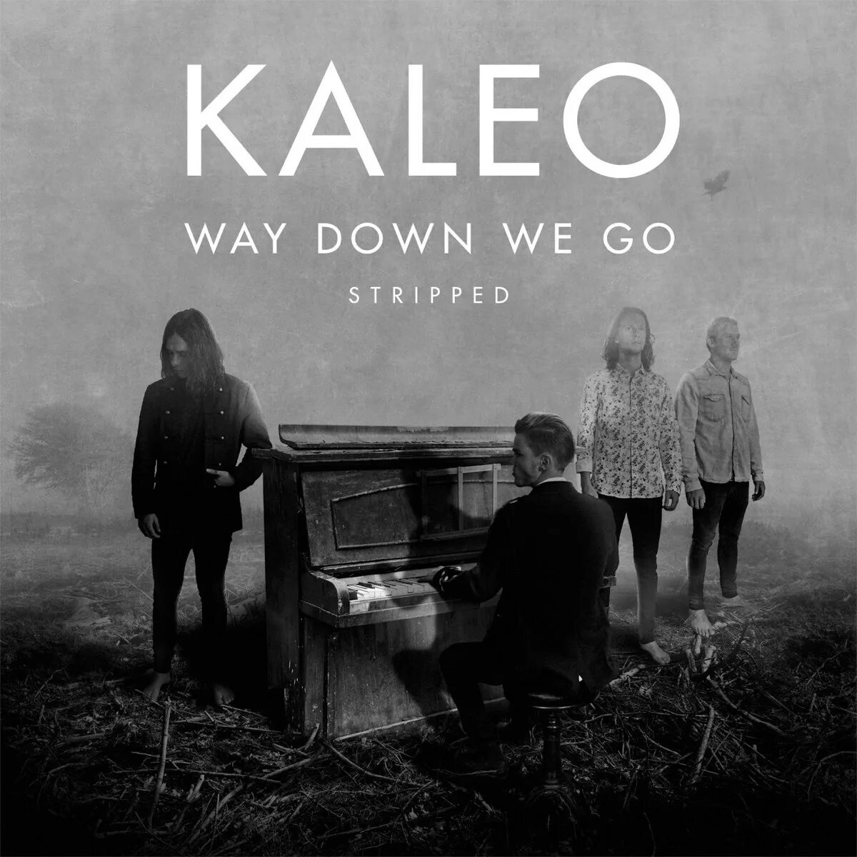 Песня we down we go kaleo. Kaleo обложка. Way down we go обложка. Kaleo way down we go. Калео way down we.