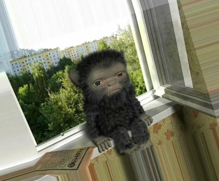 Домовые в реальной жизни добрые. Домовенок в реальной жизни.