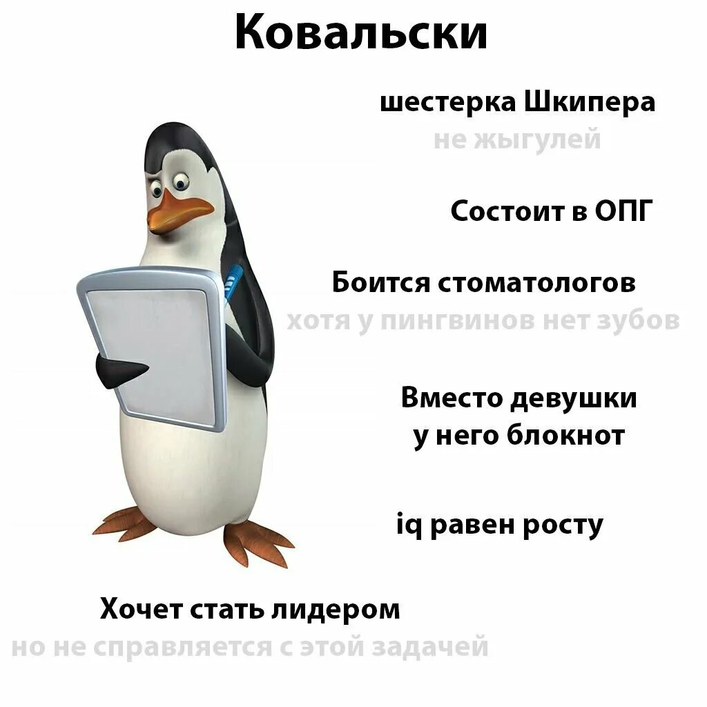 Какой овощ не любил ковальский. Пингвины Мадагаскара Ковальски. Ковальски анализ Пингвин. Шкипер Ковальски Пингвин. Пингвины из Мадагаскара цитаты Ковальски.