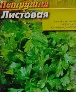 Петрушка семена лучшие