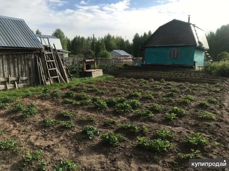 Дача сад киров. Садовое товарищество энергия киров. Дача 90. Дача сад киров. Авито кировская область дача.