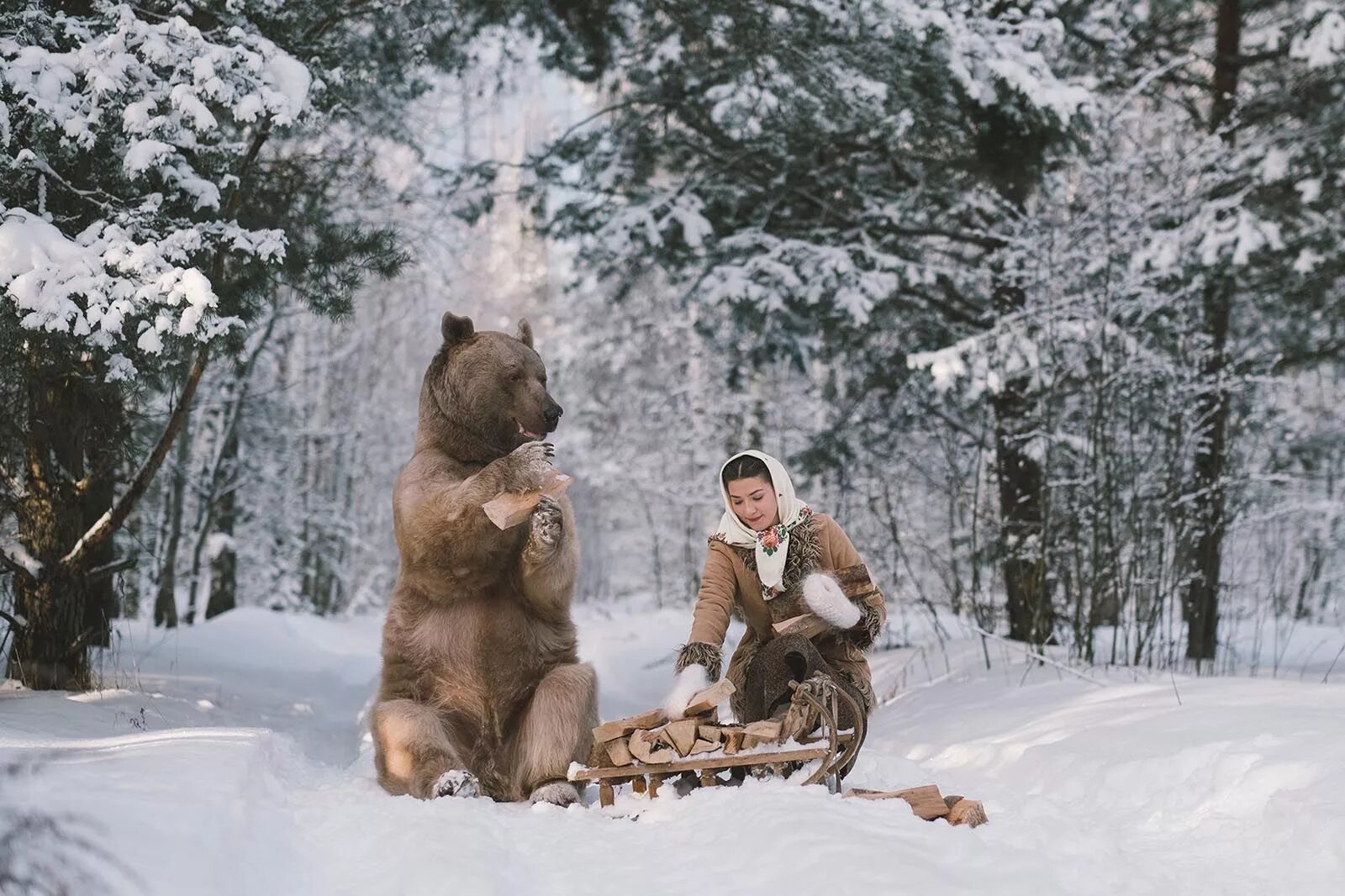 Зимняя фотосессия с медведем. Медведь зимой.