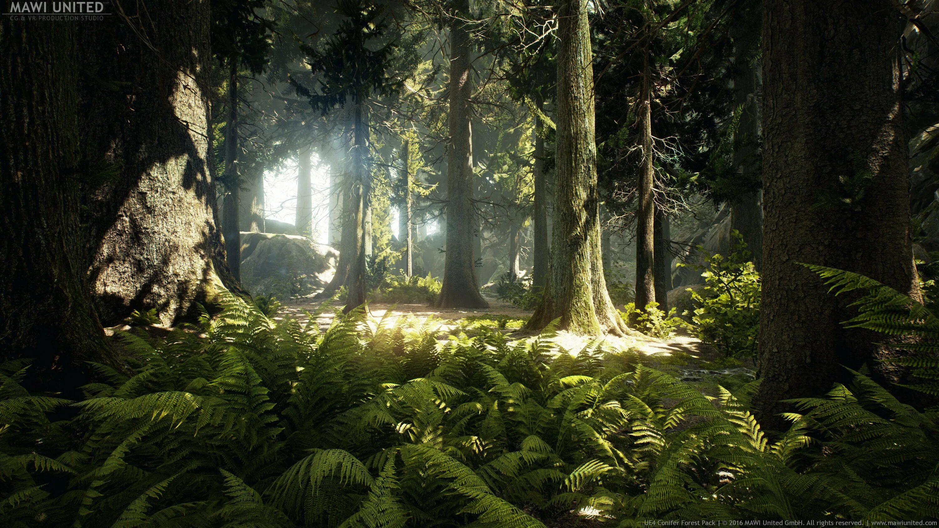 Лес в коричневых тонах. Forest 4 отзывы. Лес 16:9. Обои лес. Forest ассеты ue.