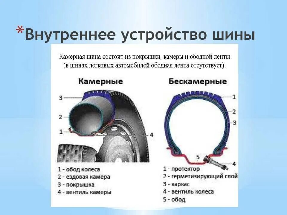 Схема устройства бескамерной шины. Пневматическая камерная шина автомобиля состоит. Конструкция шины колеса автомобиля. Колесо шина резина авто конструкция.