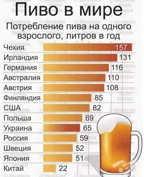 Пиво польза есть. Пиво полезно.