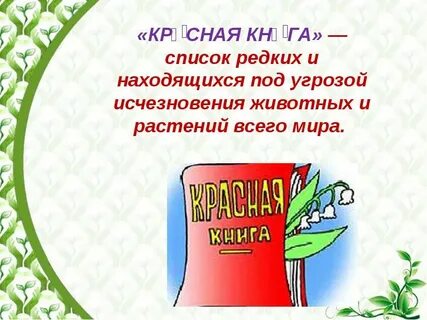 Презентация красная книга нашего края