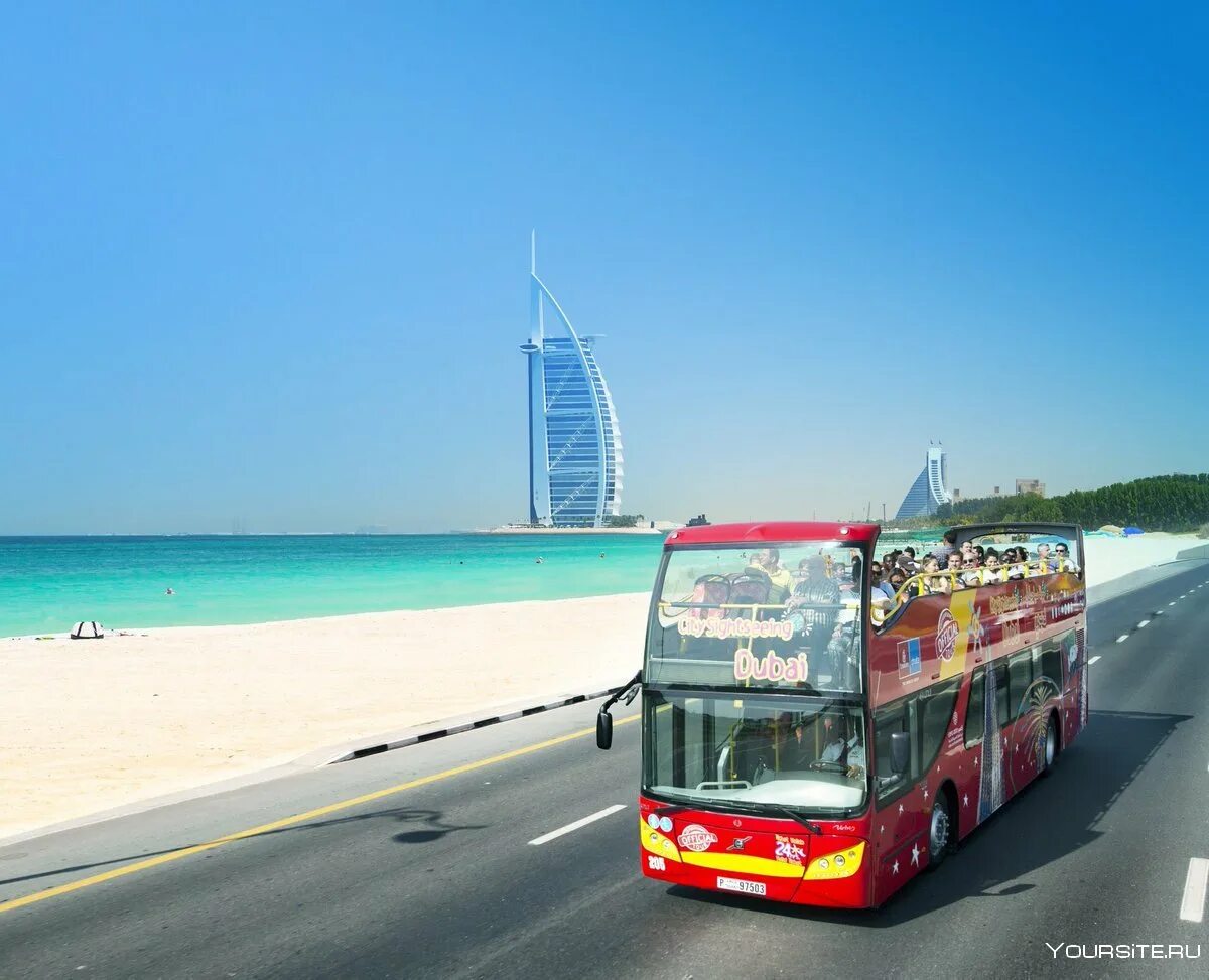 City Sightseeing Дубай. Hop on Hop off City Sightseeing Дубай. Туристические автобусы в Дубае. Сити тур Дубай.