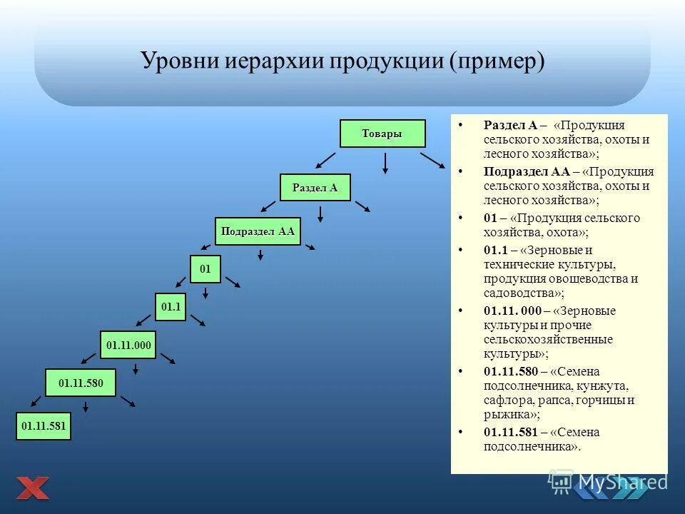 Развитие иерархии чисел. Уровни иерархии. иерархический товар примеры. иерархические уровни. уровни продуктовая иерархия.