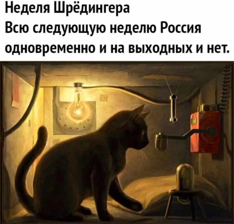 Коты в закулисье