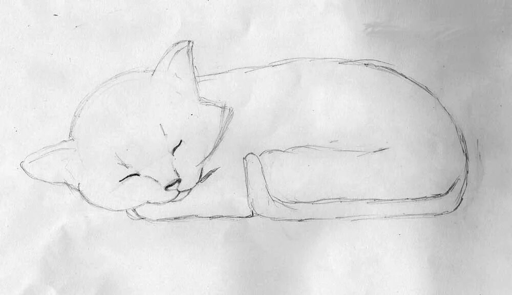 Как нарисовать лежащую кошку