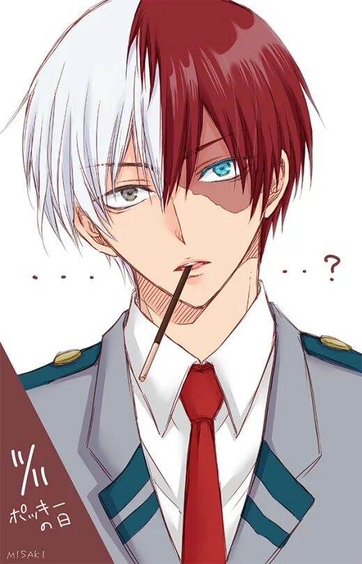 Todoroki reader