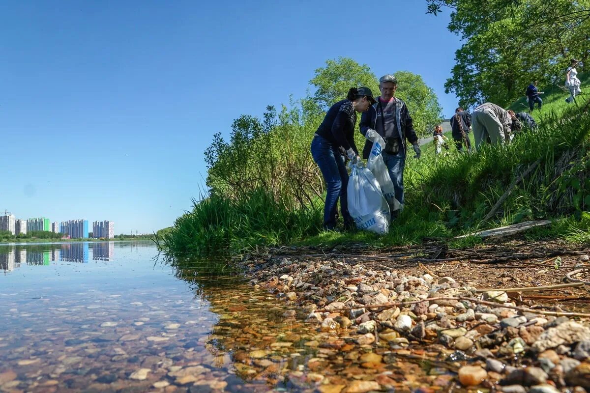 Экология водных объектов. Экология Тверской области.