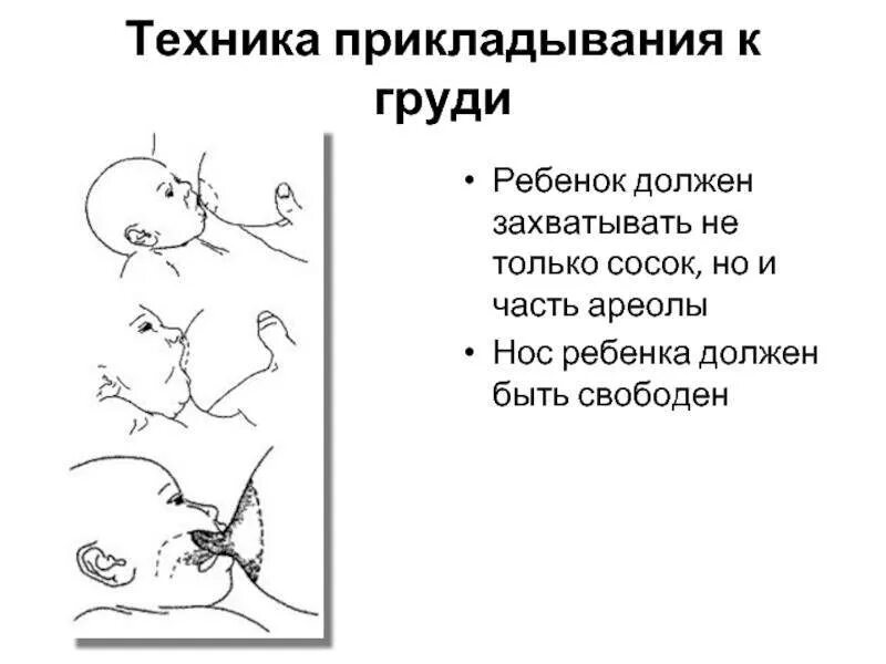 Как часто кормить новорожденного грудным. Грудное вскармливание новорожденных правильное прикладывание. Техника прикладывания при грудном вскармливании алгоритм. Прикладывание ребенка при кормлении алгоритм. Правильно прикладывать новорожденного при кормлении.