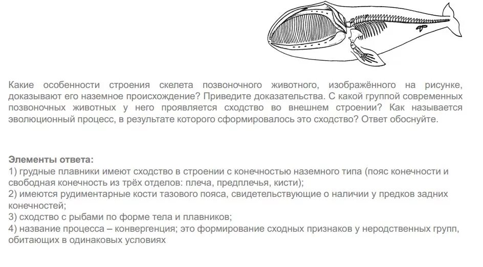 Вопросы по биологии ЕГЭ. Происхождение современных позвоночных. Какая особенность строения позвоночных. Трудные вопросы биологии.