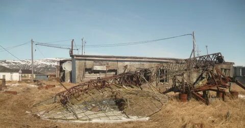 Голубов пахачи пикабу