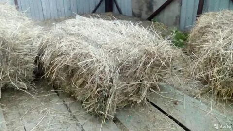 Как прессуют сено