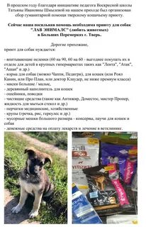 Приют в архангельске