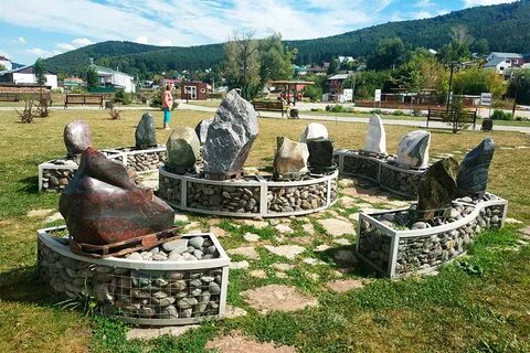 Фито пам горно алтайск