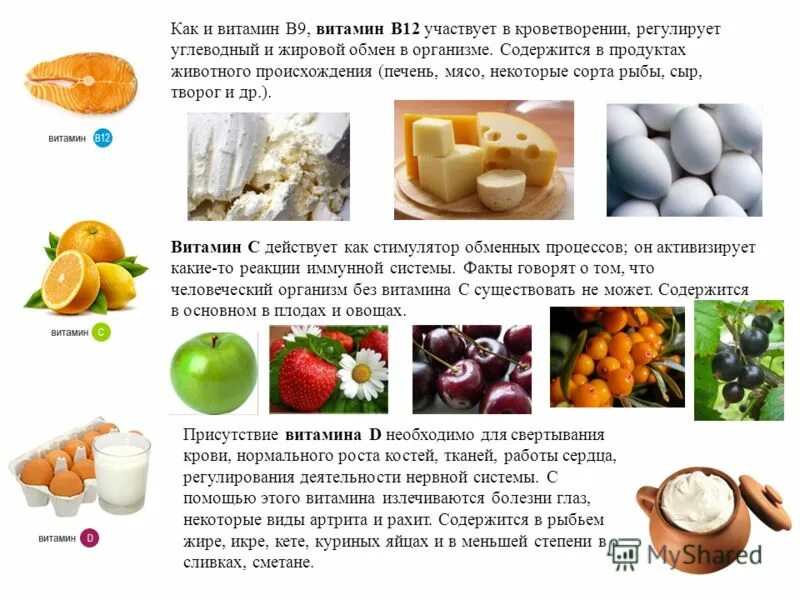 Продукты содержащие витамин в12 список. Витамин в12 содержится в продуктах. Продукты богатые витамином в12. Продукты богатые витамином в12 и в9. В каких продуктах есть витамин в12