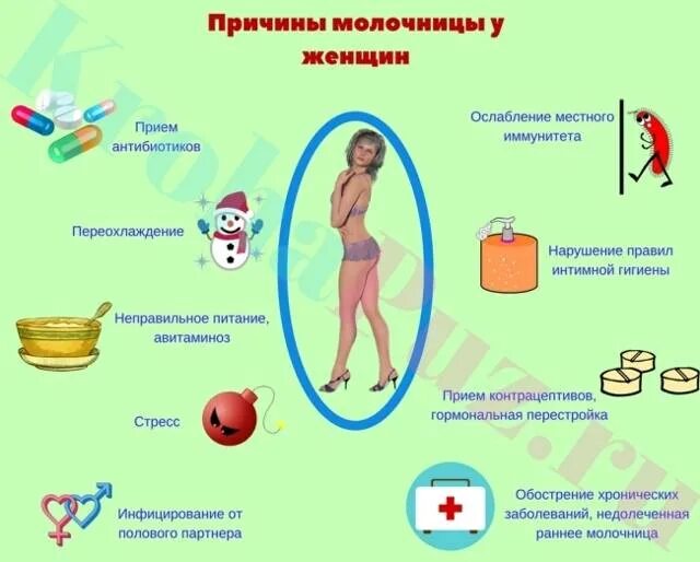 От чего у женщин молочница появляется причины. Факторы возникновения кандидоза. факторы, вызывающие кандидоз. причины кандидоза у женщин. причины развития молочницы.