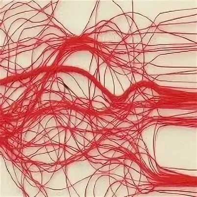 The red thread. The red thread