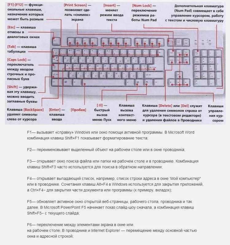 Отключить клавиши функций. Функция клавиши f1 на клавиатуре. Назначение кнопок на клавиатуре компьютера f1-f12. Назначение клавиш f1-f12 на клавиатуре. F1 f2 f3 на клавиатуре.