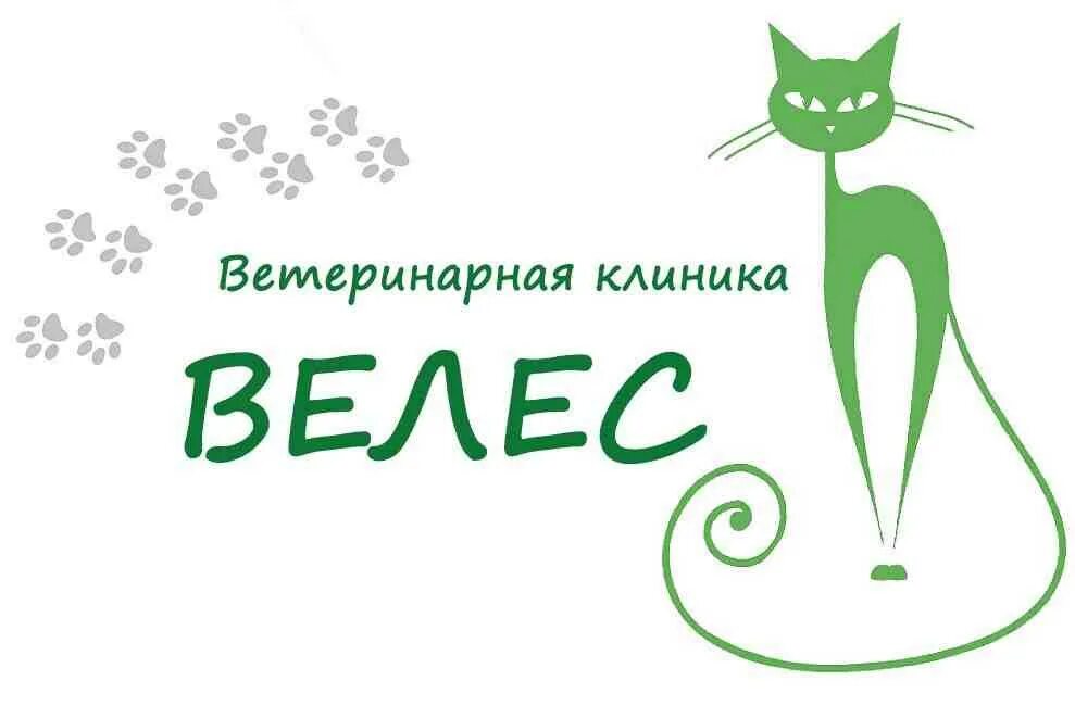 Велес ухта ветеринарная. Ветклиника велес находка. Ветклиника велес ярославль. Велес ухта ветеринарная. Велес ухта ветеринарная.