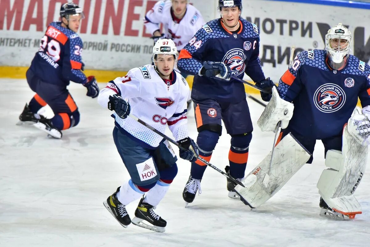 вхл хк сокол. хк сокол вхл. хк сокол. хоккейная команда сокол курск. вхл хк сокол.