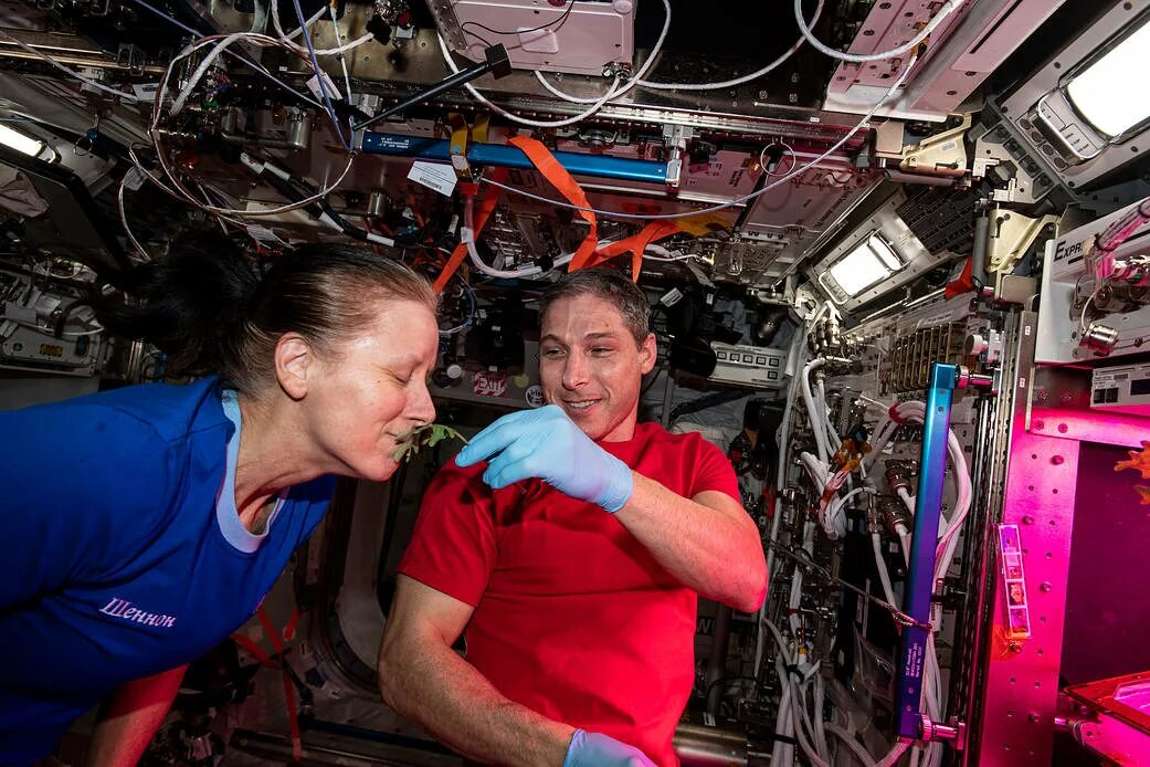 Station science