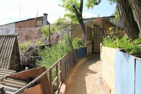 Богудония таганрог