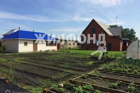 Дом участок в ордынке новосибирская область