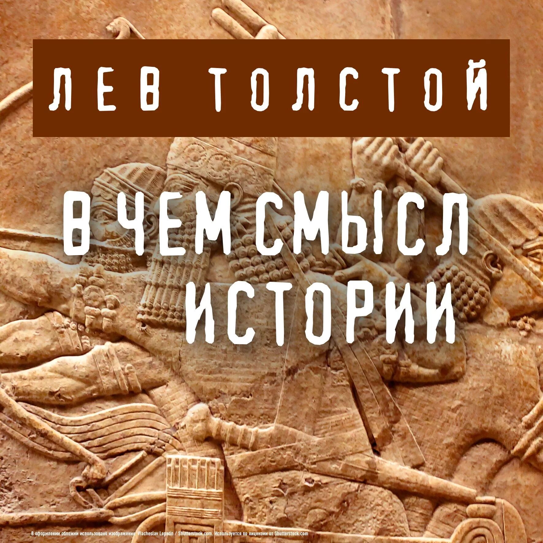 Книга смысл истории. Смысл истории. В поисках смысла история. Аудиокнига 36.5. Рассказы о жизни слушать.