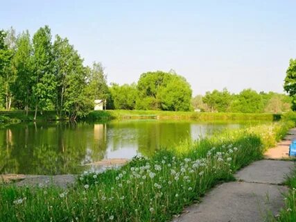 Софрино парк территория