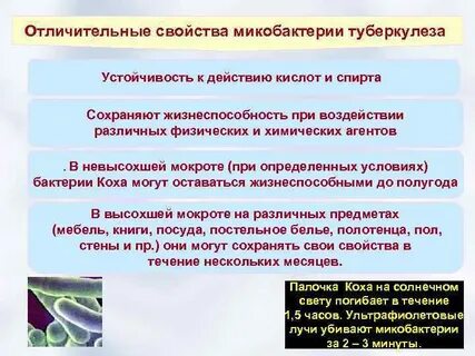 Микобактерия туберкулеза устойчива