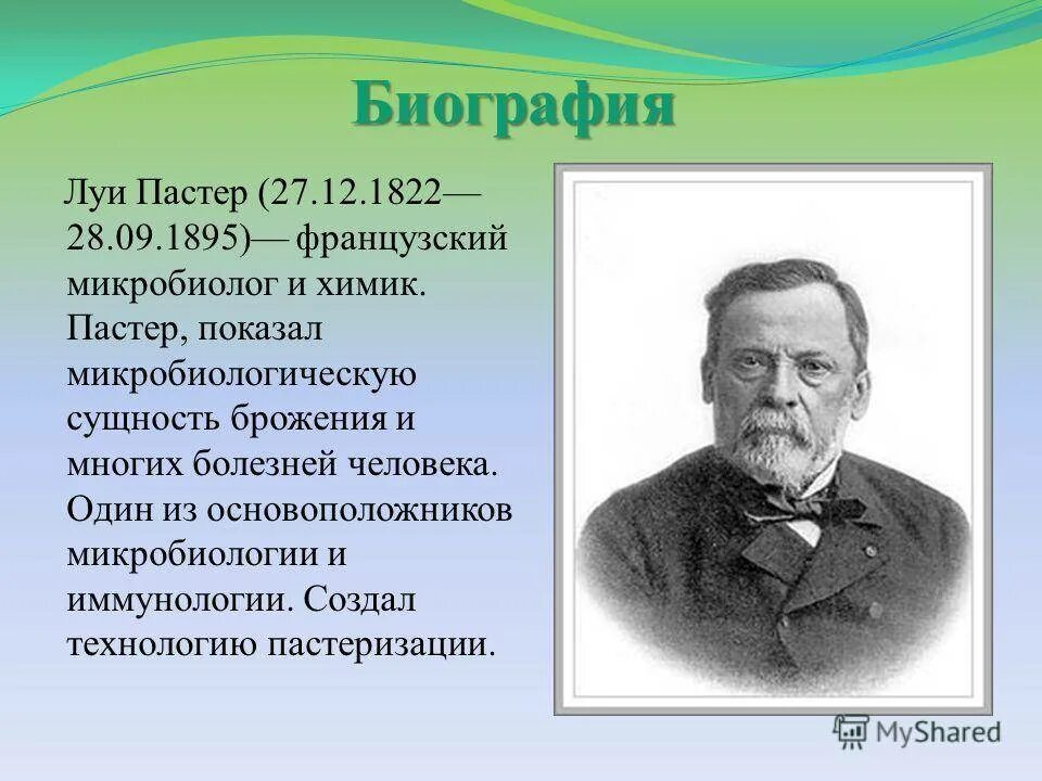 Луи пастер микробиолог и иммунолог разработавший. Французский микробиолог луи пастер.. луи пастер открытия в микробиологии. французский ученый-химик луи пастер. луи пастер иммунология открытия.