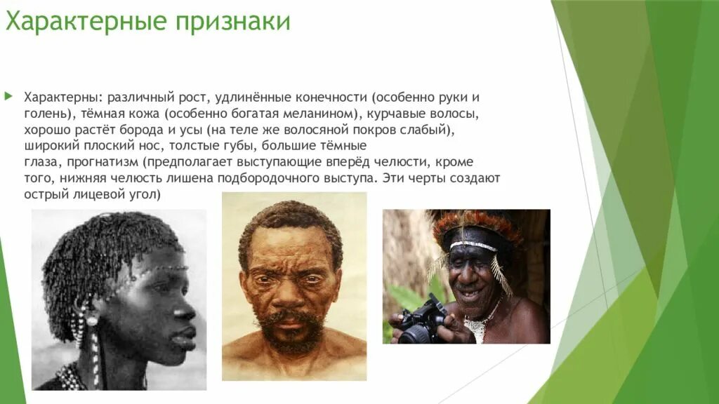 Темная кожа у какой расы. Негроидная раса. Характерные признаки негроидной расы. Волосяной Покров негроидной расы. Австрало негроидная раса.