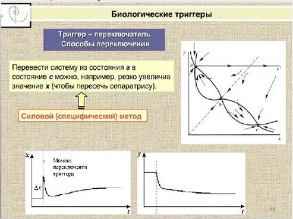 Определение биологического процесса