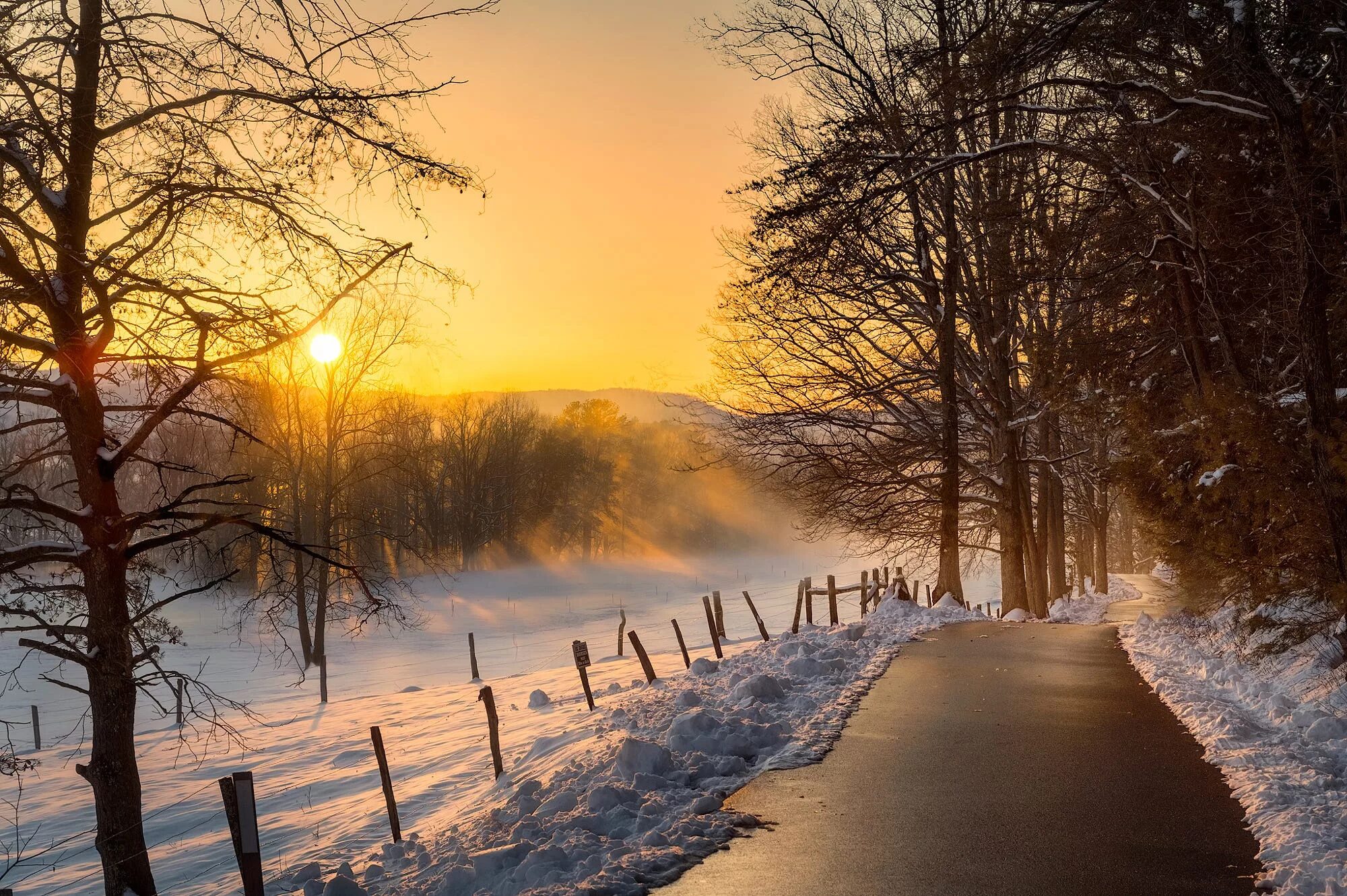 Зимнее утро картинки. Зимний вечер. Красивая зимняя тропинка. Зимняя дорожка. Солнечное зимнее утро.