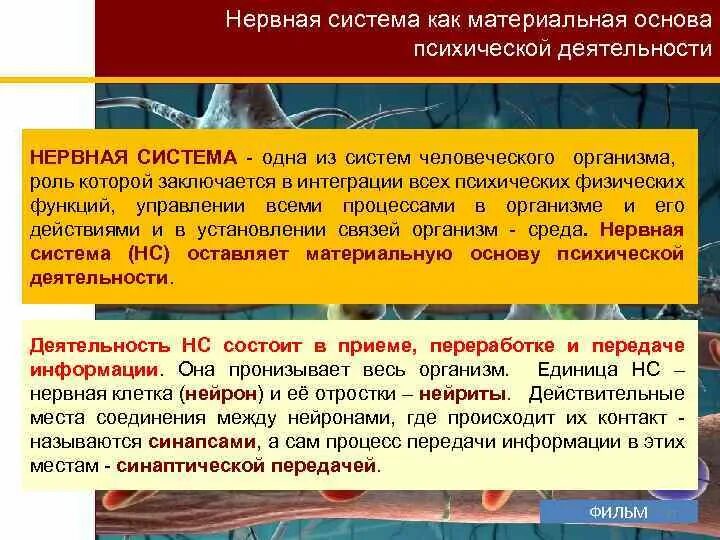 Материальной основой является