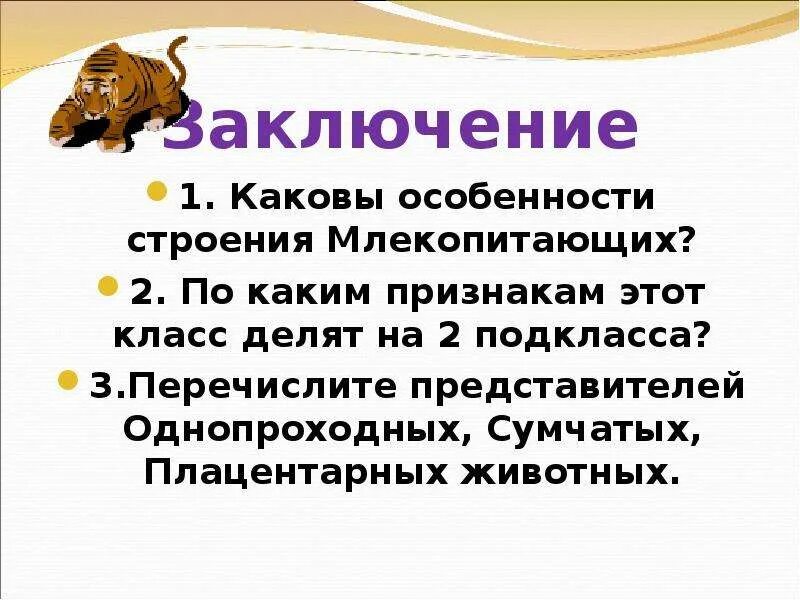 Вывод о млекопитающих. Особенности строения млекопитающих. Вывод об особенностях строения млекопитающих. Млекопитающие заключение. Практическая работа особенности строения млекопитающих