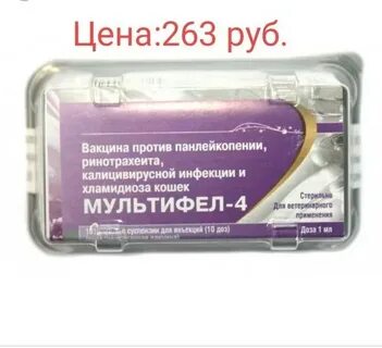 Прививка рабифел