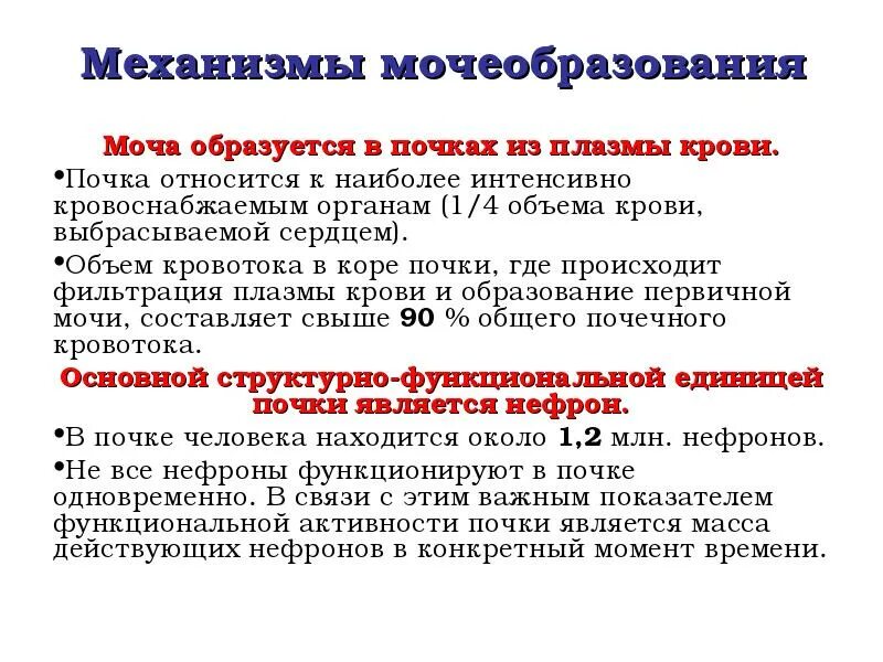 Образование вторичной мочи фильтрация крови образование плазмы. Процесс образования мочи. Механизм выведения мочи. Механизмы образования мочи в почках. Механизм выведения мочи кратко.